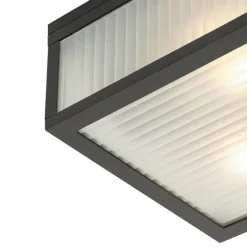 QAZQA Gartenbeleuchtung|Badezimmerlampen*Außendeckenleuchte schwarz mit geripptem Glas 2-flammig IP44 - Charlois