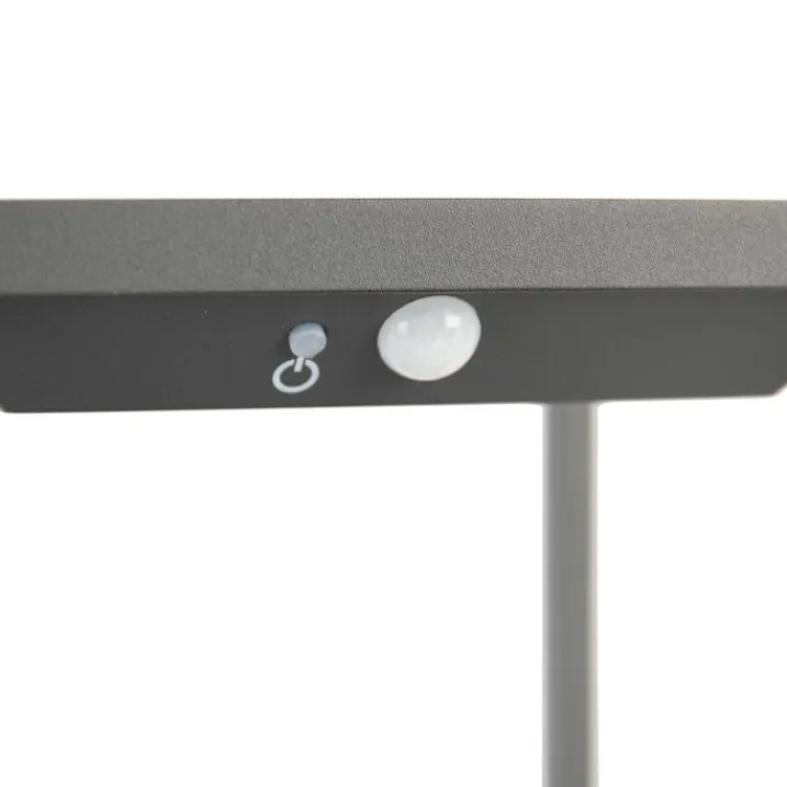 QAZQA Gartenbeleuchtung|Led-Außenleuchten*Außenleuchte inkl. Solar, Bewegungsmelder und Dämmerungsschalter - Volendam