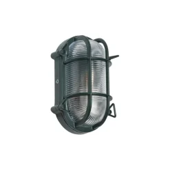 QAZQA Gartenbeleuchtung|Außenwandleuchten*Außenwand- und Deckenleuchte Dunkelgrün Oval IP44 - Noutica