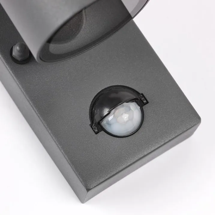 QAZQA Gartenbeleuchtung|Außenleuchten Mit Sensor*Außenwandleuchte Anthrazit IP44 mit Bewegungssensor - Solo