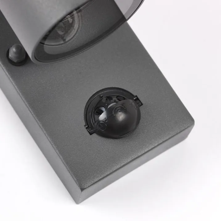 QAZQA Gartenbeleuchtung|Außenleuchten Mit Sensor*Außenwandleuchte Anthrazit IP44 mit Bewegungssensor - Solo