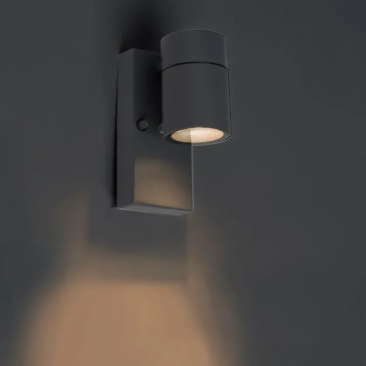 QAZQA Gartenbeleuchtung|Außenleuchten Mit Sensor*Außenwandleuchte Anthrazit IP44 mit Dämmerungssensor - Solo