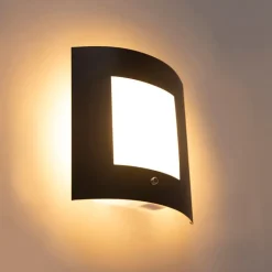 QAZQA Gartenbeleuchtung|Außenleuchten Mit Sensor*Außenwandleuchte Anthrazit IP44 Hell-Dunkel-Sensor - Emmerald 1