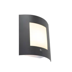 QAZQA Gartenbeleuchtung|Außenleuchten Mit Sensor*Außenwandleuchte Anthrazit IP44 Hell-Dunkel-Sensor - Emmerald 1