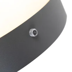 QAZQA Gartenbeleuchtung|Außenleuchten Mit Sensor*Außenwandleuchte Anthrazit IP44 Hell-Dunkel-Sensor - Emmerald 1