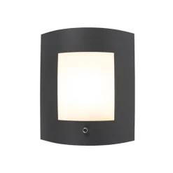 QAZQA Gartenbeleuchtung|Außenleuchten Mit Sensor*Außenwandleuchte Anthrazit IP44 Hell-Dunkel-Sensor - Emmerald 1