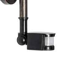 QAZQA Gartenbeleuchtung|Außenleuchten Mit Sensor*Außenwandleuchte antikgold IP44 inkl. Bewegungsmelder - Daphne