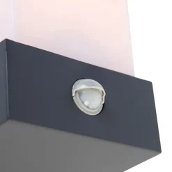 QAZQA Gartenbeleuchtung|Außenleuchten Mit Sensor*Außenwandleuchte dunkelgrau IP54 Bewegungssensor - Tide