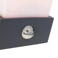 QAZQA Gartenbeleuchtung|Außenleuchten Mit Sensor*Außenwandleuchte dunkelgrau IP54 Bewegungssensor - Tide