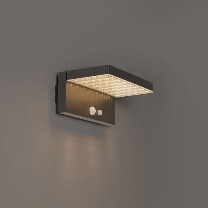 QAZQA Gartenbeleuchtung|Led-Außenleuchten*Außenwandleuchte dunkelgrau inkl. LED und Solar - Sunnie