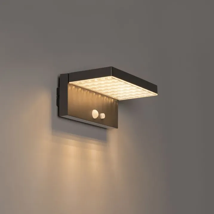 QAZQA Gartenbeleuchtung|Led-Außenleuchten*Außenwandleuchte dunkelgrau inkl. LED und Solar - Sunnie