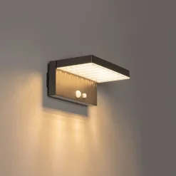 QAZQA Gartenbeleuchtung|Led-Außenleuchten*Außenwandleuchte dunkelgrau inkl. LED und Solar - Sunnie