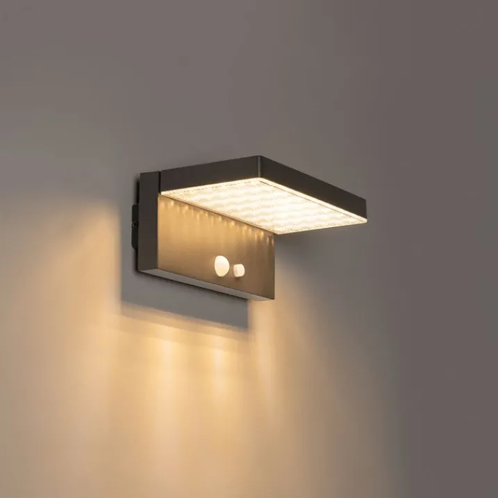 QAZQA Gartenbeleuchtung|Led-Außenleuchten*Außenwandleuchte dunkelgrau inkl. LED und Solar - Sunnie