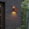 QAZQA Gartenbeleuchtung|Led-Außenleuchten*Außenwandleuchte Rostbraun inkl. LED 2-flammig IP65 Solar - Charlene