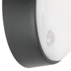 QAZQA Gartenbeleuchtung|Led-Außenleuchten*Außenwandleuchte schwarz inkl. LED mit Bewegungsmelder IP54 - Hortus