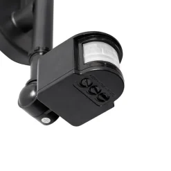 QAZQA Gartenbeleuchtung|Außenleuchten Mit Sensor*Außenwandleuchte schwarz IP44 inkl. Bewegungsmelder - Daphne