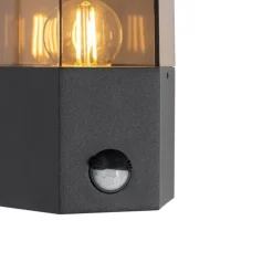 QAZQA Gartenbeleuchtung|Außenleuchten Mit Sensor*Außenwandleuchte schwarz mit Rauchglas Hexagon und Bewegungssensor - Dänemark