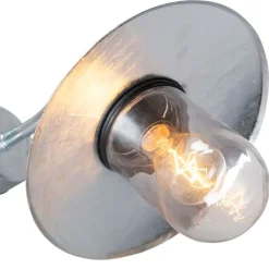 QAZQA Gartenbeleuchtung|Außenwandleuchten*Außenwandleuchte Zink mit Glas IP44 - München