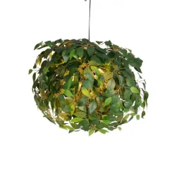 Trio Leuchten Deckenleuchten*Boho Deckenleuchte Grün 3-flammig - Leavy