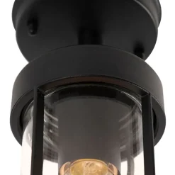 QAZQA Gartenbeleuchtung|Deckenleuchten Außen*Country Exterior Deckenleuchte schwarz mit Glas IP44 - Elza