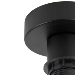 QAZQA Deckenleuchten|Wohnzimmerlampen*Deckenleuchte mattschwarz ohne Schirm - Combi