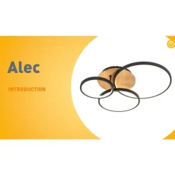 QAZQA Schlafzimmerlampen|Küchenlampen*Deckenleuchte schwarz mit Holz inkl. LED 3-stufig dimmbar 3-flammig - Alec