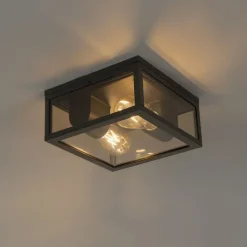 QAZQA Gartenbeleuchtung|Deckenleuchten Außen*Deckenleuchte schwarz mit Rauchglas 2-flammig IP44 - Charlois