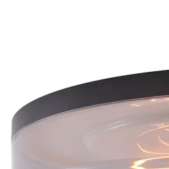 QAZQA Led-Deckenleuchten|Deckenleuchten*Deckenleuchte Schwarz mit Rauchglas 35,5 cm inklusive dimmbarer LED - Fira