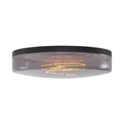 QAZQA Led-Deckenleuchten|Deckenleuchten*Deckenleuchte Schwarz mit Rauchglas 35,5 cm inklusive dimmbarer LED - Fira