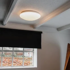 QAZQA Led-Deckenleuchten|Deckenleuchten*Deckenleuchte weiß inkl. LED und Dimmer mit Fernbedienung - Iene