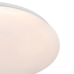 QAZQA Led-Deckenleuchten|Deckenleuchten*Deckenleuchte weiß inkl. LED und Dimmer mit Fernbedienung - Iene