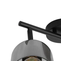 QAZQA Deckenstrahler|Aufbaustrahler*Deckenstrahler schwarz mit Rauchglas 2-flammig verstellbar - Laura