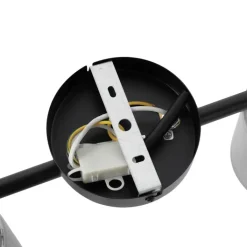 QAZQA Deckenstrahler|Aufbaustrahler*Deckenstrahler schwarz mit Rauchglas 2-flammig verstellbar - Laura