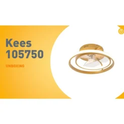 QAZQA Deckenventilator Mit Licht|Wohnzimmerlampen*Deckenventilator Gold 46,5 cm inkl. LED mit Fernbedienung - Kees