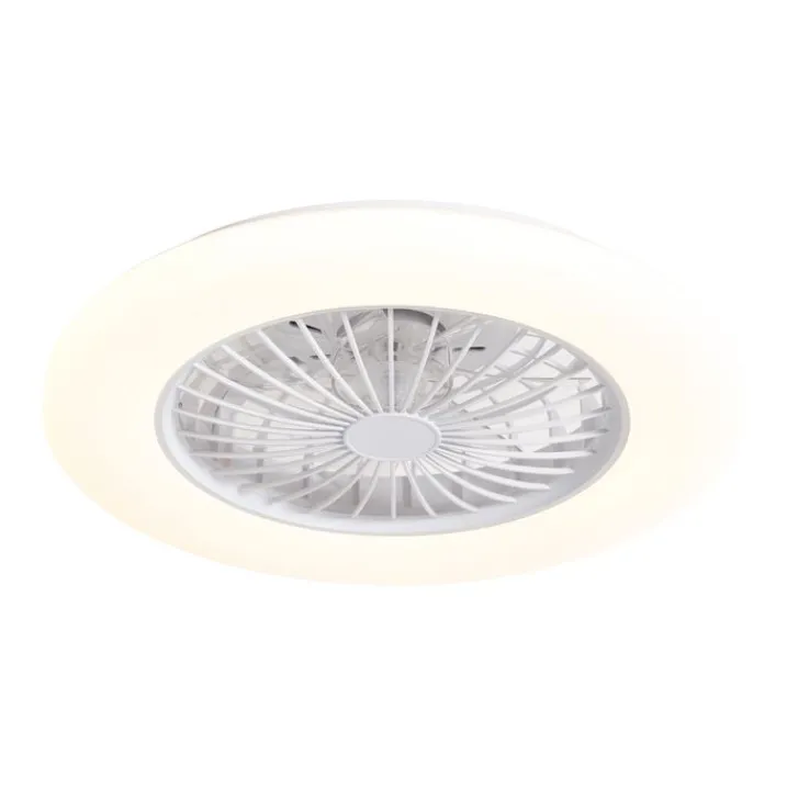 QAZQA Deckenventilator Mit Licht|Wohnzimmerlampen*Deckenventilator weiß 48,5 cm inkl. LED Dimmbar RGB mit Fernbedienung - Clemo