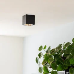 QAZQA Wandstrahler|Deckenstrahler*Design Aufbaustrahler schwarz quadratisch - Box