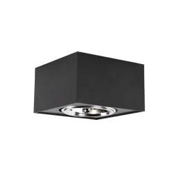 QAZQA Wandstrahler|Deckenstrahler*Design Aufbaustrahler Schwarz Verstellbar - Kaya