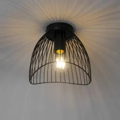 QAZQA Deckenleuchten|Wohnzimmerlampen*Design Deckenleuchte Schwarz Draht 20cm - Pua