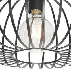 QAZQA Deckenleuchten|Wohnzimmerlampen*Design Deckenleuchte schwarz 39 cm - Johanna