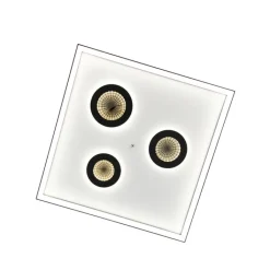 Paul Neuhaus Led-Deckenleuchten|Deckenleuchten*Design Deckenleuchte Schwarz inkl. Dimmbarer LED mit Fernbedienung - Dune