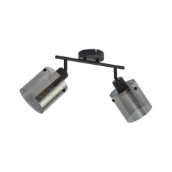 QAZQA Deckenstrahler|Aufbaustrahler*Design Deckenstrahler schwarz mit Rauchglas 2-Licht - Domo