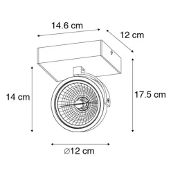 QAZQA Wandstrahler|Deckenstrahler*Design Deckenstrahler Schwarz Verstellbar - Go