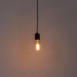 QAZQA Schlafzimmerlampen|Esszimmerlampen*Design Hängelampe schwarz 1-Licht mit Stecker - Cavalux