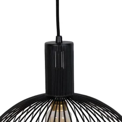 QAZQA Pendelleuchten|Wohnzimmerlampen*Design Hängelampe schwarz 40 cm - Wire Dos