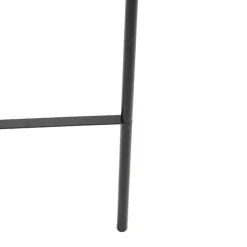 QAZQA Stehlampen|Esszimmerlampen*Design Stehlampe schwarz mit Rauchglas - Bliss