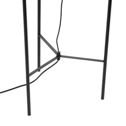 QAZQA Stehlampen|Esszimmerlampen*Design Stehlampe schwarz mit Rauchglas - Bliss