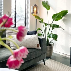 QAZQA Küchenlampen|Stehlampen*Design Stehleuchte schwarz mit Rauchglas - Qara