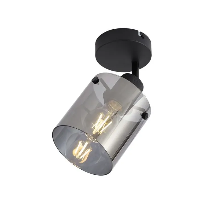 QAZQA Wandstrahler|Wandleuchten*Design Wandstrahler schwarz mit Rauchglas - Domo