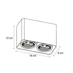 QAZQA Deckenstrahler|Aufbaustrahler*Design-Aufbaustrahler schwarz GU10 70mm 2-flammig dreh- und schwenkbar - Vox