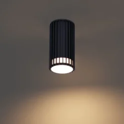 QAZQA Gartenbeleuchtung|Deckenleuchten Außen*Design-Deckenleuchte für den Außenbereich schwarz IP44 - Boris